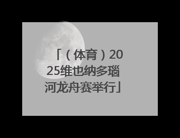 （体育）2025维也纳多瑙河龙舟赛举行