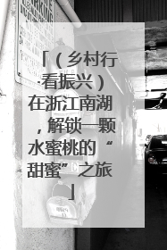 （乡村行·看振兴）在浙江南湖，解锁一颗水蜜桃的“甜蜜”之旅