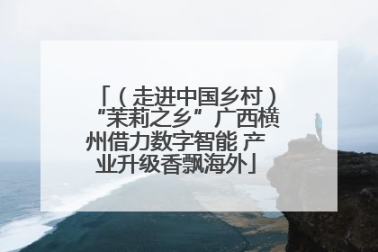 （走进中国乡村）“茉莉之乡”广西横州借力数字智能 产业升级香飘海外