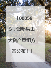 000595，调整后重大资产重组方案公布！