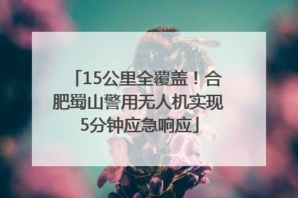 15公里全覆盖！合肥蜀山警用无人机实现5分钟应急响应