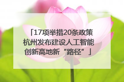 17项举措20条政策 杭州发布建设人工智能创新高地新“路径”