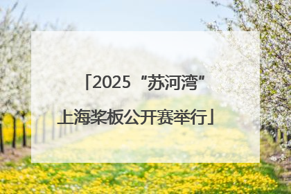 2025“苏河湾”上海桨板公开赛举行