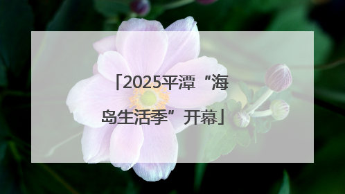 2025平潭“海岛生活季”开幕