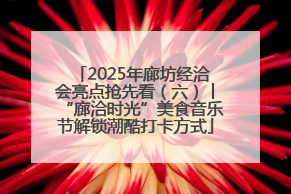 2025年廊坊经洽会亮点抢先看（六）丨“廊洽时光”美食音乐节解锁潮酷打卡方式