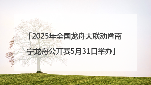2025年全国龙舟大联动暨南宁龙舟公开赛5月31日举办