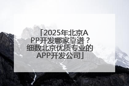 2025年北京APP开发哪家靠谱？细数北京优质专业的APP开发公司