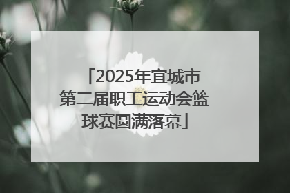 2025年宜城市第二届职工运动会篮球赛圆满落幕