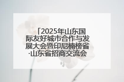 2025年山东国际友好城市合作与发展大会暨印尼楠榜省·山东省招商交流会在济南槐荫举行