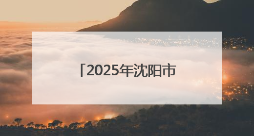 2025年沈阳市网络文化企业进校园双选活动正式启动
