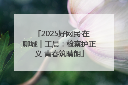 2025好网民·在聊城｜王晨：检察护正义 青春筑晴朗