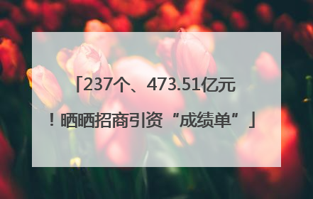 237个、473.51亿元！晒晒招商引资“成绩单”