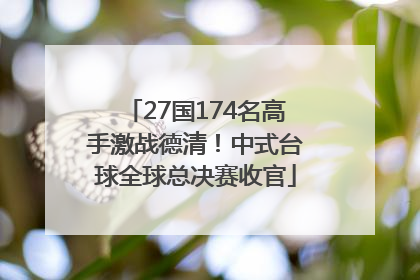 27国174名高手激战德清！中式台球全球总决赛收官