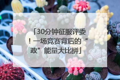 30分钟征服评委！一场竞赛背后的“政”能量大比拼