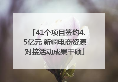 41个项目签约4.5亿元 新疆电商资源对接活动成果丰硕