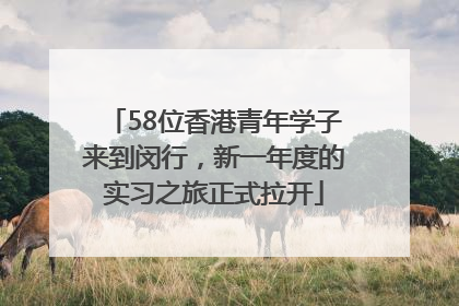 58位香港青年学子来到闵行，新一年度的实习之旅正式拉开
