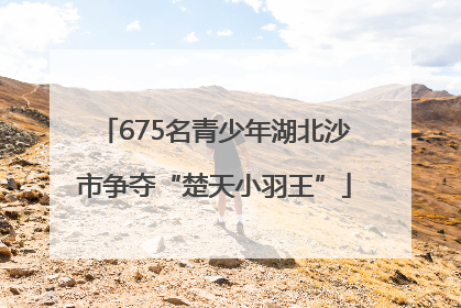 675名青少年湖北沙市争夺“楚天小羽王”