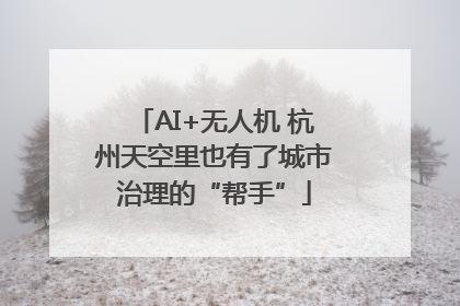 AI+无人机 杭州天空里也有了城市治理的“帮手”