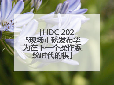 HDC 2025现场重磅发布华为在下一个操作系统时代的棋